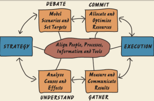 The management cycle