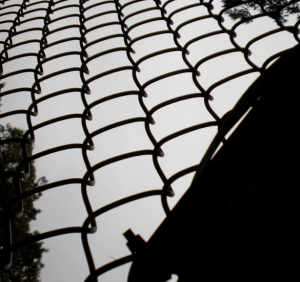 Photo © Ruth Dimon, 2013